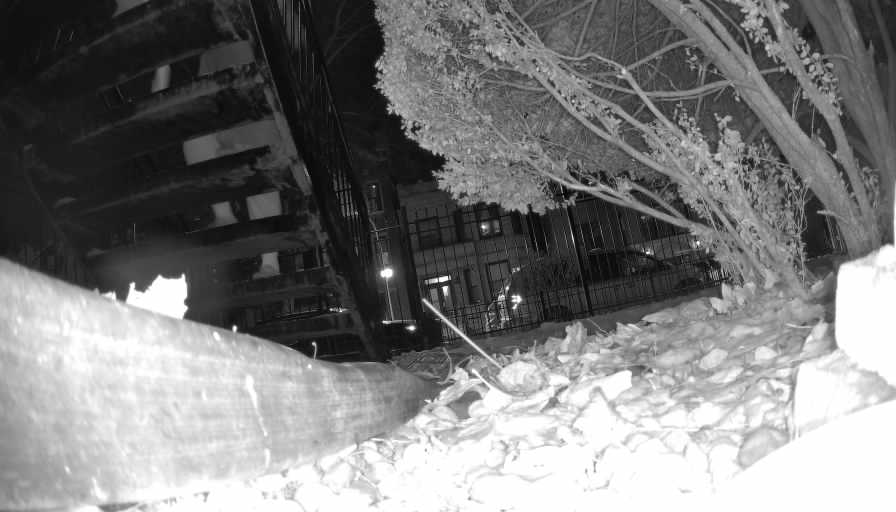 Reolink Camera Two_01_Reolink Home Hub One_20250114212405.jpg